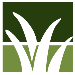 Hendersonville Lawn Clean Up