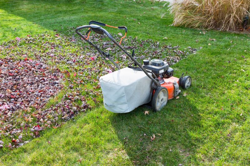 Seasonal Yard Preparation