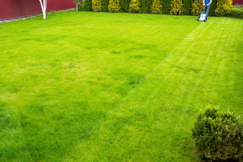 Healthy Lawn Maintenance