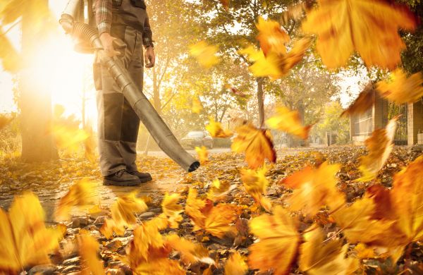 Leaf Blowing Service in Hendersonville