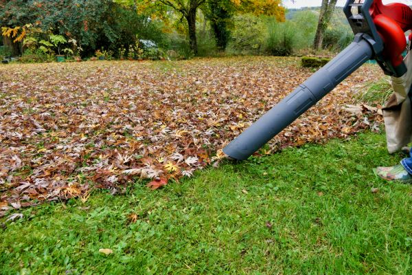Leaf Vacuuming Service in Hendersonville