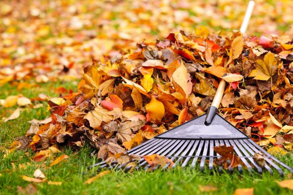 Leaves Removal in Hendersonville