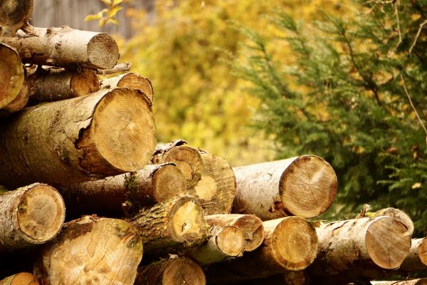 Wood Pile Removal in Hendersonville