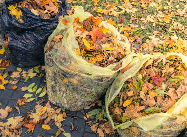 Yard Cleanup Service in Hendersonville