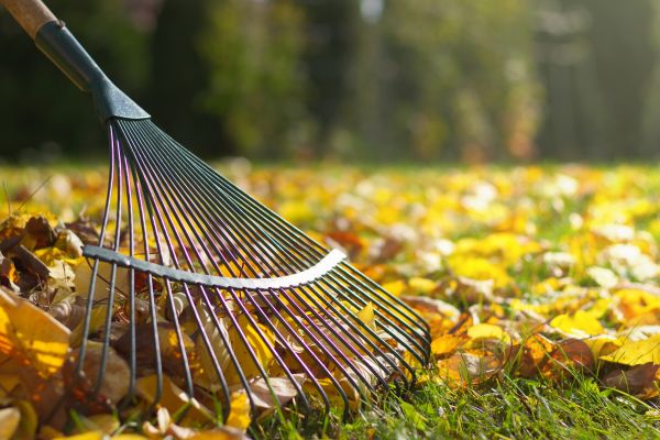 Leaf Raking Service in Hendersonville