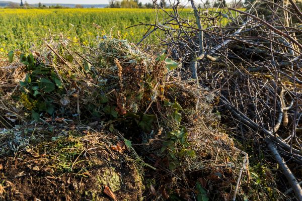 Brush Disposal in Hendersonville