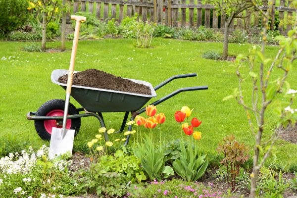 Spring Yard Cleanup in Hendersonville