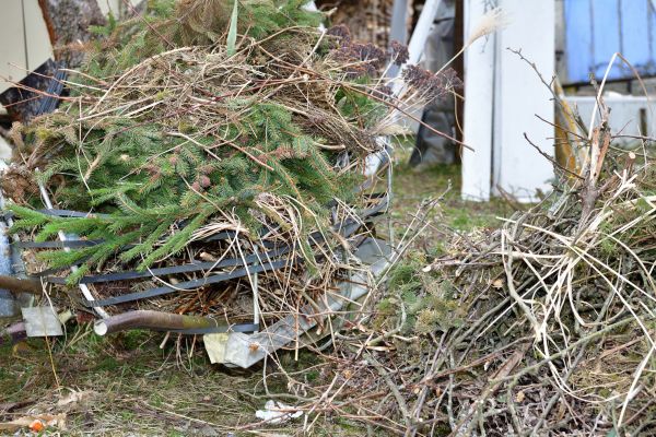 Yard Waste Removal Service in Hendersonville