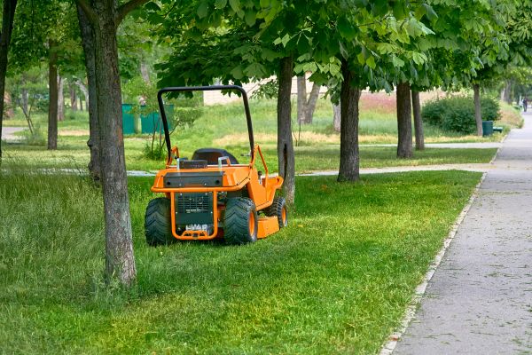 Landscaping Cleanup Service in Hendersonville