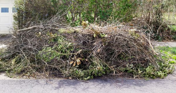 Tree Limb Cleanup in Hendersonville