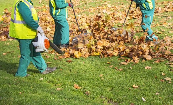Leaf Maintenance in Hendersonville