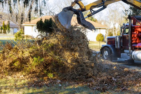 Storm Debris Removal in Hendersonville