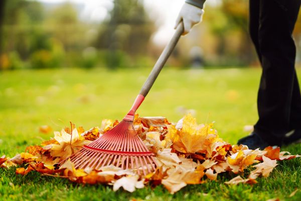 Cost of Ditch Leaf Removal in Hendersonville