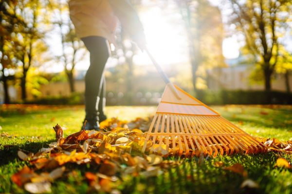 Leaves Raking in Hendersonville