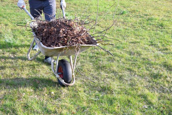 Yard Brush Removal in Hendersonville
