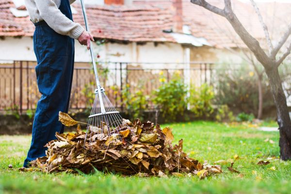 Fall Yard Cleanup Service in Hendersonville