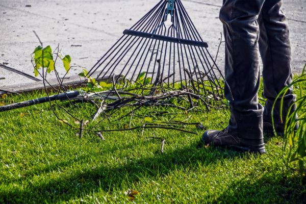 Yard Debris Cleanup in Hendersonville