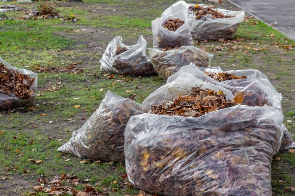 Leaf Pile Disposal in Hendersonville